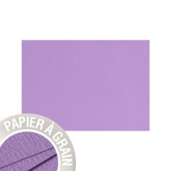 Carte simple Grain de Pollen 10,5x14,8cm - Violette - Violette