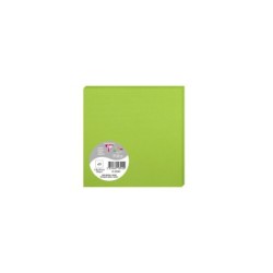 Carte simple Pollen 13,5x13,5cm - Vert menthe - Vert menthe - Papier lisse