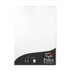 Feuille Pollen 120g - Blanc irisé - Blanc irisé - Papier irisé