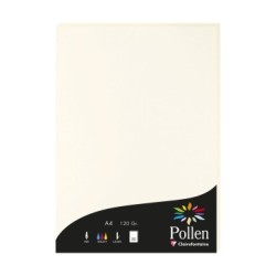 Feuille Pollen 120g - Blanc naturel - Blanc naturel - Papier lisse