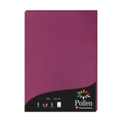 Feuille Pollen 120g - Framboise - Framboise - Papier lisse