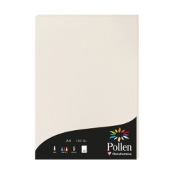 Feuille Pollen 120g - Gris perle - Gris perle - Papier lisse