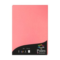 Feuille Pollen 120g - Litchi - Litchi - Papier lisse