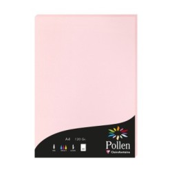 Feuille Pollen 120g - Rose - Rose - Papier lisse