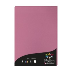 Feuille Pollen 120g - Rose hortensia - Rose hortensia - Papier lisse