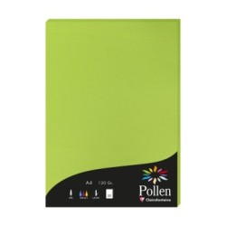 Feuille Pollen 120g - Vert menthe - Vert menthe - Papier lisse