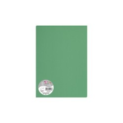 Feuille Pollen 120g - Vert sapin - Vert sapin - Papier lisse