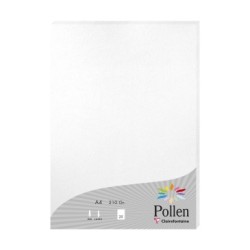 Feuille Pollen 210g - Blanc irisé - Blanc irisé - Papier irisé