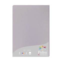 Feuille Pollen 210g - Gris koala - Gris koala - Papier lisse