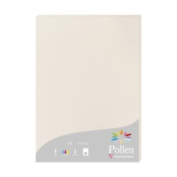 Feuille Pollen 210g - Gris perle - Gris perle - Papier lisse