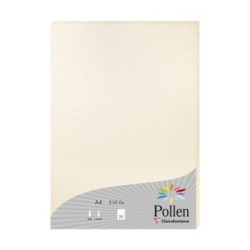 Feuille Pollen 210g - Ivoire irisé - Ivoire irisé - Papier irisé