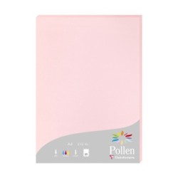 Feuille Pollen 210g - Rose - Rose - Papier lisse