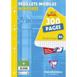 Feuillets mobiles sous étui - 300 - 21 x 29,7 cm - Séyès (grands carreaux)