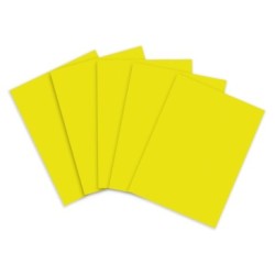 Papier affiche fluo - Jaune citron - Jaune citron - 60 x 80 cm