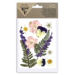 Fleur séchée - Assortiment - Assortiment