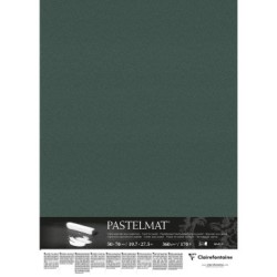 Carte pour pastel Pastelmat 360g - Vert foncé - 50 x 70 cm