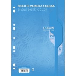 Feuillets mobiles sous film 7000 - Bleu - 100 - 21 x 29,7 cm - 80 g/m² - Séyès (grands carreaux)