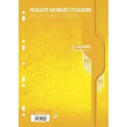 Feuillets mobiles sous film 7000 - Jaune - 100 - 21 x 29,7 cm - 80 g/m² - Séyès (grands carreaux)