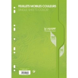 Feuillets mobiles sous film 7000 - Vert - 100 - 21 x 29,7 cm - 80 g/m² - Séyès (grands carreaux)