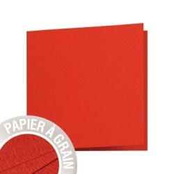 Carte pliée Grain de Pollen 13,5x13,5cm - Coquelicot - Coquelicot