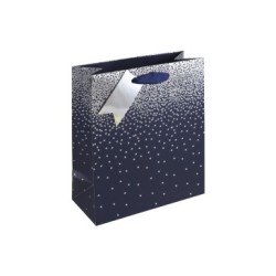 Sac cadeau moyen 21,5x10,2x25,3cm - Bleu 1 - Papier couché - 210 g/m²