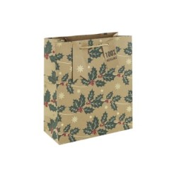 Sac cadeau moyen 21,5x10,2x25,3cm - Vert 2 - Papier kraft - 210 g/m²