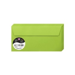 20 enveloppes Pollen DL (11x22cm) - Vert menthe - Vert menthe - Papier lisse