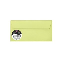 5 enveloppes Pollen DL (11x22cm) - Vert bourgeon - Vert bourgeon - Papier lisse