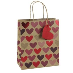 Sac cadeau moyen kraft 21,5x10,2x25,3cm - Rouge 1