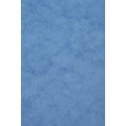 Carte dessin couleur lisse Europa 256g - Bleu - 21 x 29,7 cm