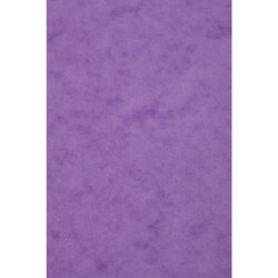 Carte dessin couleur lisse Europa 256g - Lilas - 21 x 29,7 cm