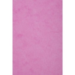 Carte dessin couleur lisse Europa 256g - Rose - 21 x 29,7 cm