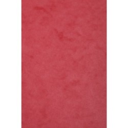 Carte dessin couleur lisse Europa 256g - Rouge - 21 x 29,7 cm