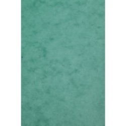 Carte dessin couleur lisse Europa 256g - Vert - 21 x 29,7 cm