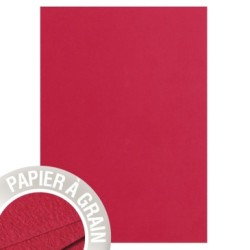 Feuille Grain de Pollen 120g - Cerise - Cerise