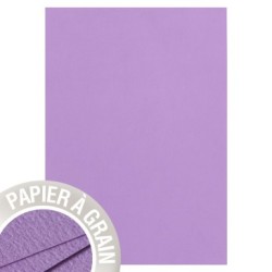 Feuille Grain de Pollen 120g - Violette - Violette