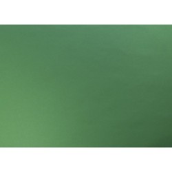 Papier couleur recyclé 50x65cm 270g - Vert empire - Vert empire