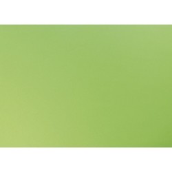 Papier couleur recyclé 50x65cm 270g - Vert pomme - Vert pomme