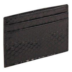 Reptile design - Porte-cartes CB