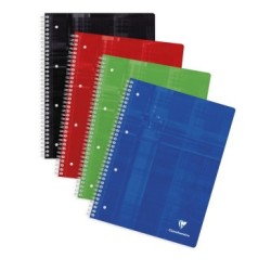 Cahier reliure intégrale - Assortis - Bleu, Rose, Vert et Jaune - 240 - 22,5 x 29,7 cm - A4+ - 5/5 + marge et cadre en-tête