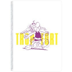 Astérix - Cahier - 148 - Intégrale - Ligné + marge