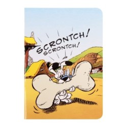 Astérix - Carnet_1