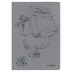 Astérix - Carnet - A motifs - 64 - Piqûre textile - 14,8 x 21 cm - Ligné