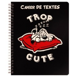 Astérix - Cahier de textes - Cute - 64 - 17 x 22 cm