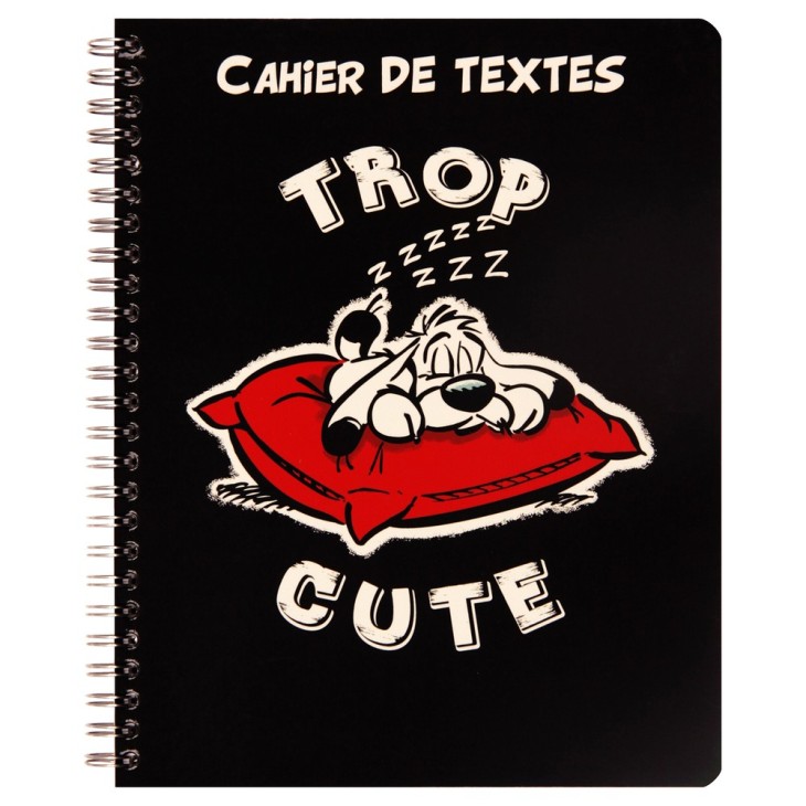 Astérix - Cahier de textes