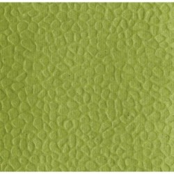 Papier gaufré - Citron vert - Citron vert