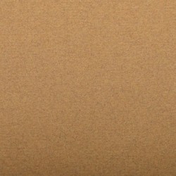 Papier Ingres Pastel 130g - Ocre