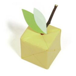 Origami uni_1