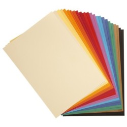 Papier dessin couleur à grain Tulipe 160g - Assortiment vif - 21 x 29,7 cm