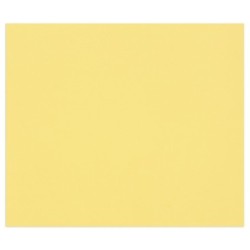 Papier dessin couleur à grain Tulipe 160g - Bouton d'or - 21 x 29,7 cm